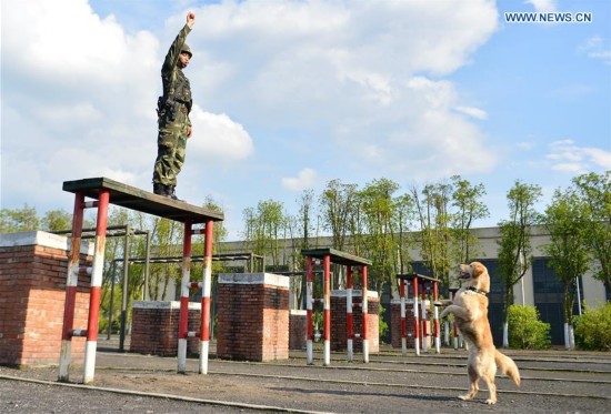 #CHINA-CHONGQING-POLICE DOG (CN)