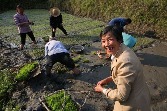 农村老年人口_调查 中国60岁以上老年人口已达104657万多人(3)