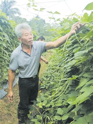 夜校+种植技术培训 贫困户变身瓜菜种植大户