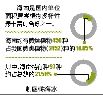 海南发现多种新记录蕨类植物 其中一类为新记录属