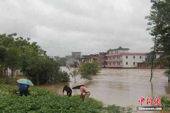 暴雨袭击郴州嘉禾 部分农田被水淹街道变河流