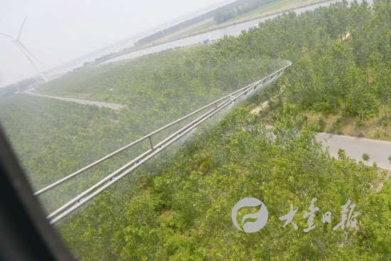 盐城大丰实行飞机施药防治美国白蛾