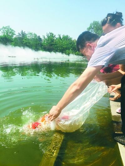 望和公园完成水系改造升级增加多种水生植物和人工喷雾