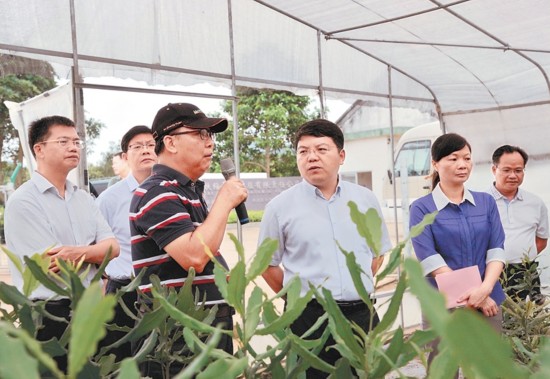 市长孙大光(右三),副市长黄覃梅(右二),县委书记罗彪(左一)在了解