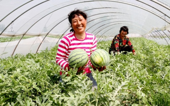 盐城市委全会开到 田间地头 用身边事引领 富民