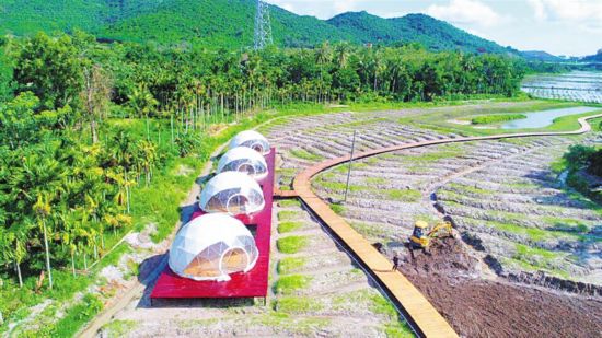 三亚中廖村:花田建帐篷 闻香望星空--人民网海