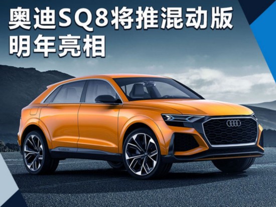 奥迪SQ8将推混动版 明年亮相/竞争宝马X6 M-图1