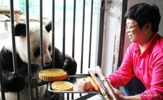 #CHINA-MID-AUTUMN FESTIVAL-CELEBRATION-GIANT PANDA (CN)