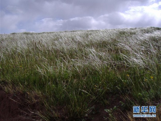 探秘亚洲水塔--第三极河湖源科考追踪