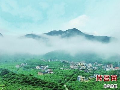 广东省茂名市信宜钱排镇gdp_信宜这个镇被省里点名了