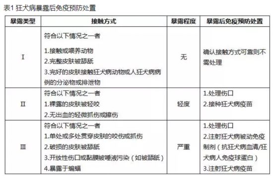 撸猫遛狗一定要知道这些疫苗常识--人民健康网