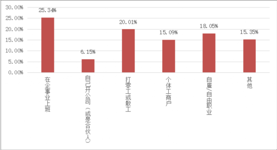 人口年报工作总结_北京市2006年老年人口信息和老龄事业发展状况报告(3)