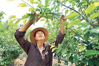 内蒙古科左中旗推行农村牧区党建136工作机