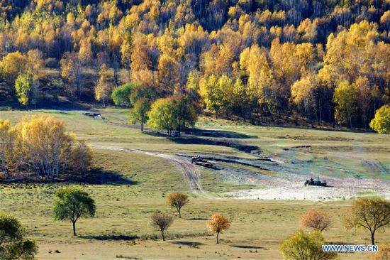 CHINA-HEBEI-CHENGDE-SAIHANBA FOREST (CN)