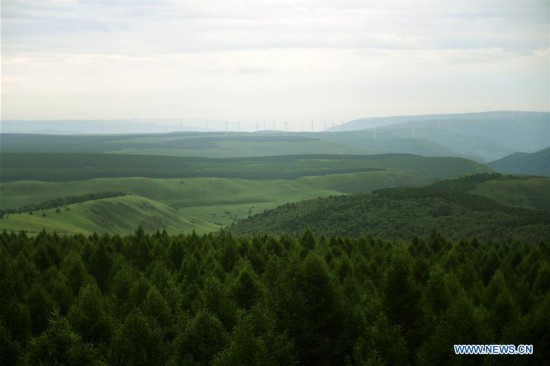 CHINA-HEBEI-CHENGDE-SAIHANBA FOREST (CN)