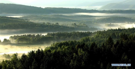 CHINA-HEBEI-CHENGDE-SAIHANBA FOREST (CN)