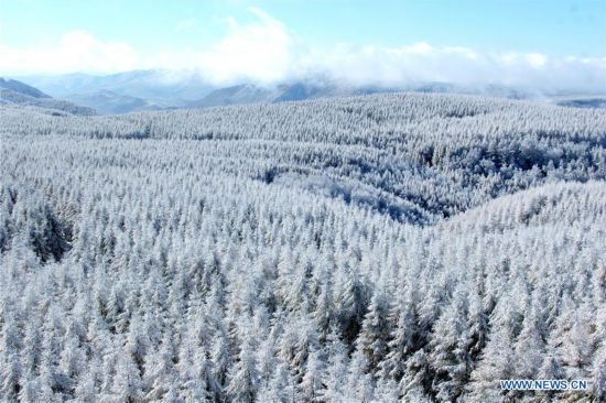 CHINA-HEBEI-CHENGDE-SAIHANBA FOREST (CN)