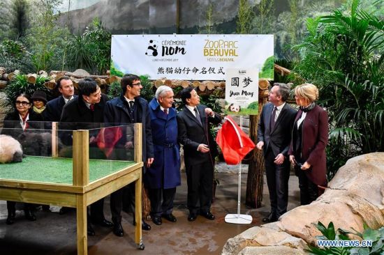 FRANCE-SAINT-AIGNAN-PANDA BABY-NAMING CEREMONY-YUAN MENG