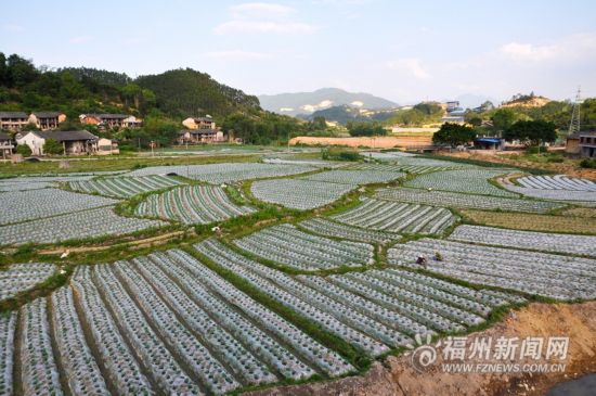 福州闽清县霞溪村:劲刮"文明乡风" 助力"精准扶贫"