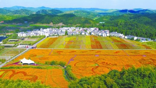 12月5日,郴州市北湖区三合村国家3a级景区. 周峰 摄