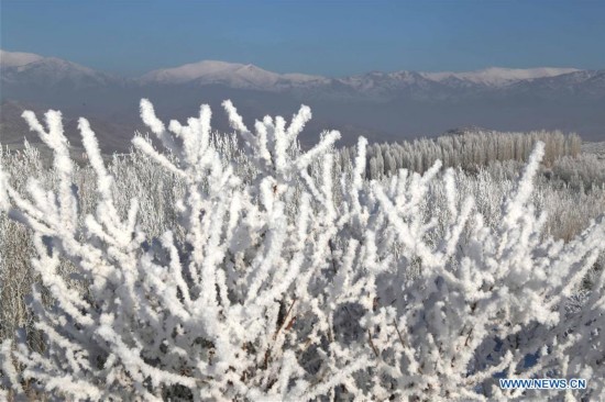 #CHINA-XINJIANG-RIME SCENERY (CN)