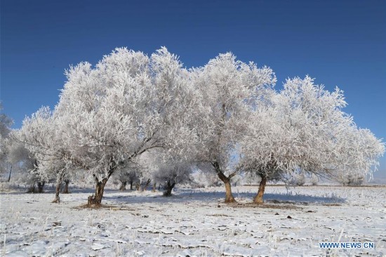 #CHINA-XINJIANG-RIME SCENERY (CN)