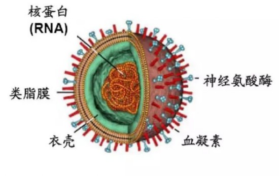 盐城近期冷空气频繁 流感病例就诊比例增加