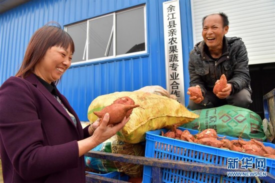 江西余江县人口_江西鹰潭市余江县抓获替考人员 也是来自湖北(3)