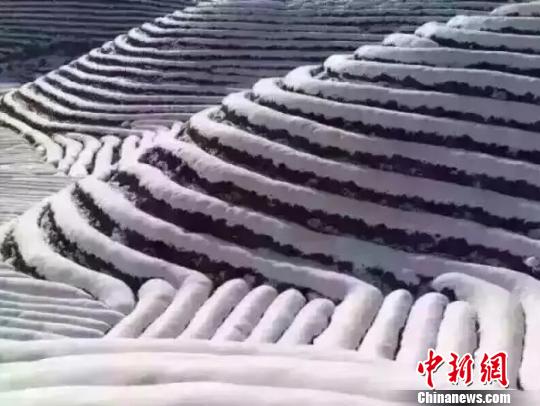 浙江迎低溫雨雪天氣多部門啟動應對措施