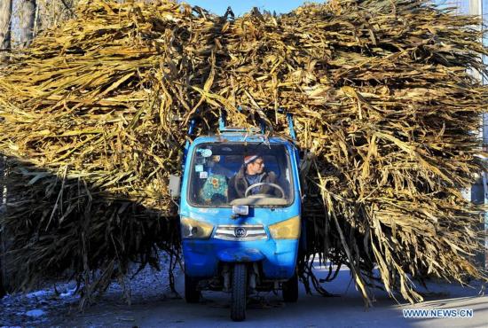 CHINA-XINJIANG-YINING-VILLAGE-DEVELOPMENT (CN)