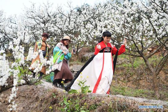 CHINA-CHONGQING-PLUM BLOSSOMS (CN)