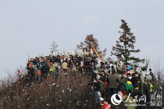 雷山县有多少人口_黔东南40道 硬菜 是哪些 点进来看看 附省台联播报道视频(3)