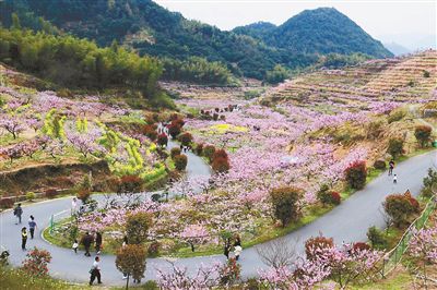 阳山村人口_山村风景