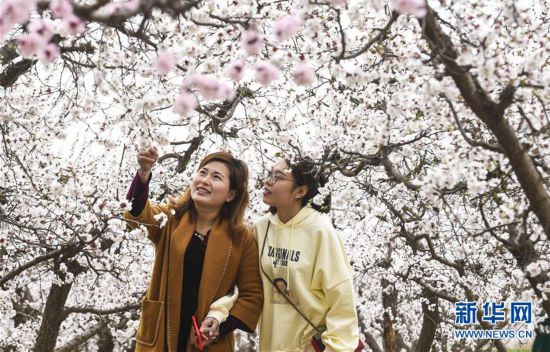 饶阳婚纱照_饶阳二中照片(2)