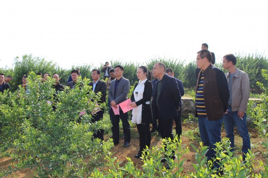 平山镇人口_剑阁县元山镇常住人口