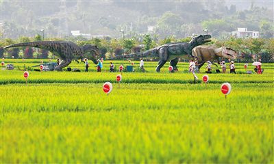 南繁科研育种基地:走向世界的中国