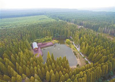 盐城年造林总量遥居全省之首 广植树需多破题