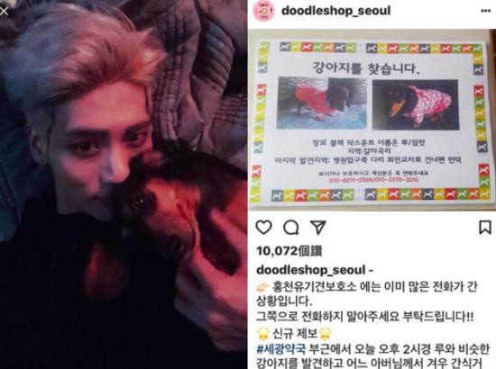 shinee钟铉生前爱犬失踪 姐姐急坏网上求救