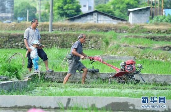 融水县香粉乡gdp_要紧啵 中央人民政府网已关注融水脱贫攻坚(2)