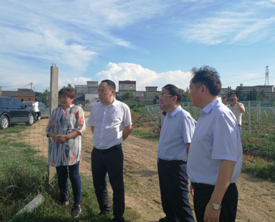 安徽频道 特别报道 马鞍山郑蒲港新区 新区动态