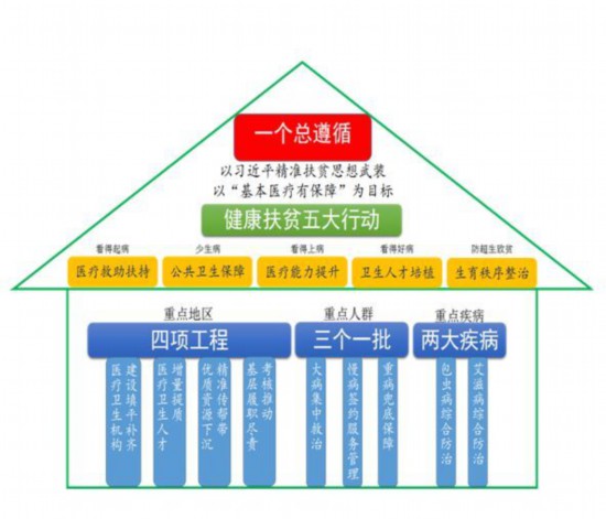 因病致贫人口_因病致贫