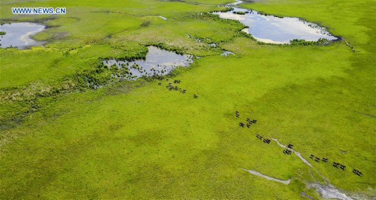 CHINA-WETLAND PROTECTION (CN)