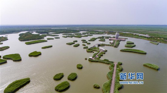 （新华视界）（3）山东寿光：夏日湿地风光美