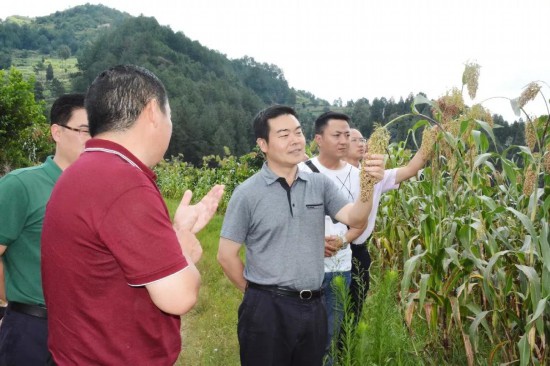 7月16日,遵义国家经济技术开发区党工委书记,区委书记姜世甫深入山