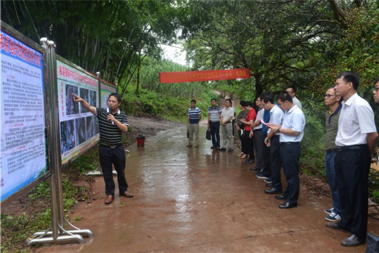 宁明召开城乡建设用地增减挂钩项目现场会