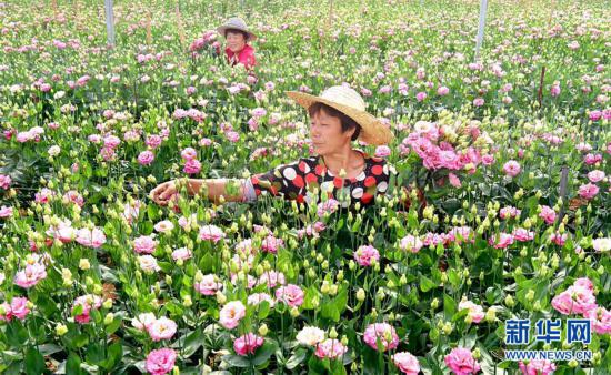 花石桥村人口_丰县梁寨石桥村