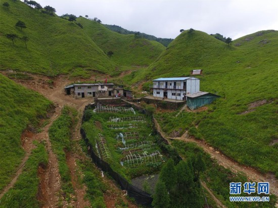 宜章县有多少人口_30年前的郴州宜章城,多少人的记忆(3)