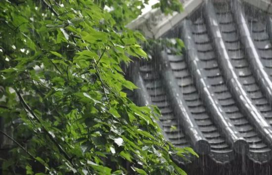 不懼“安比”！看古人怎用筆鋒抵御狂風暴雨