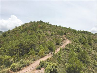 全长165km的18条"南粤古驿道重点线路精华段"将于今年登场