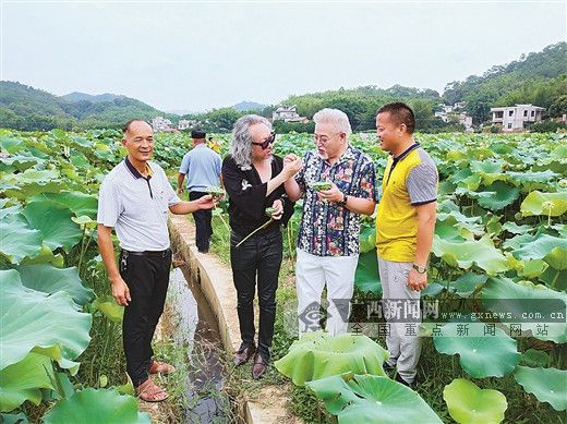 自良镇人口_自良镇(3)